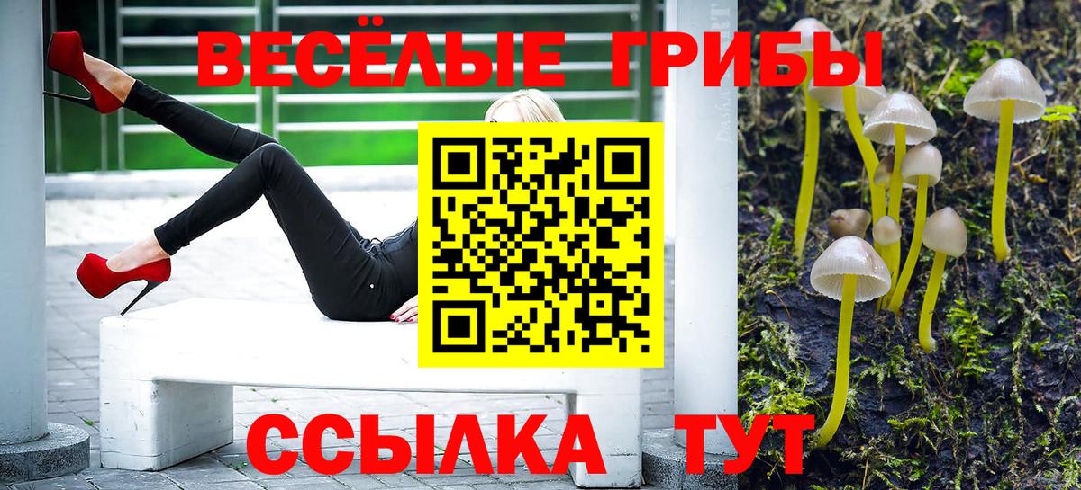 Галлюциногенные грибы ЛСД Санкт-Петербург